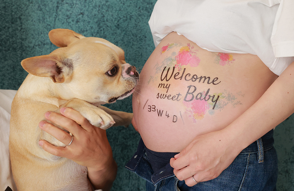 ペット可 犬猫と一緒にマタニティフォト@東京 フォトスタジオアンジュ撮影レビュー① すーみん♡川角智香江