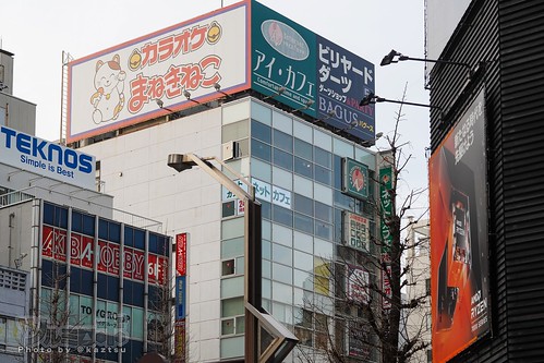 6月2日(土） 週末の秋葉原、巫女喫茶「秋葉亭」にて・・・ |