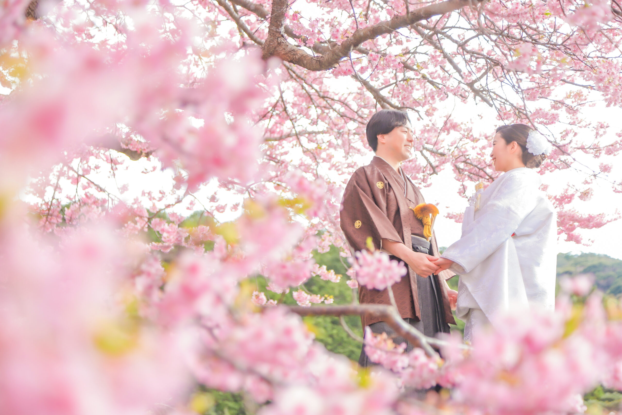 京都、長岡京市で桜フォト♪MichiPhotography