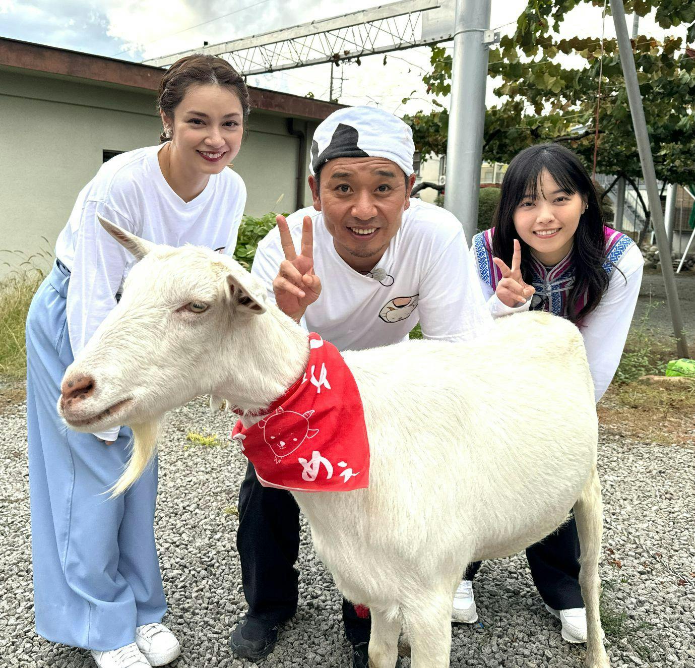 画像・写真 “激辛料理”を食べた西野未姫が「辛くて手が震える」と悶絶！＜極楽とんぼのタイムリミット #16＞(2/4)