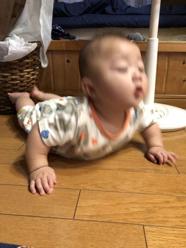 衝撃 赤ちゃんのボケてがツッコミどころ満載だったｗｗｗ おもしろ画像ツッコミ系youtuber殿堂入りボケて- YouTube