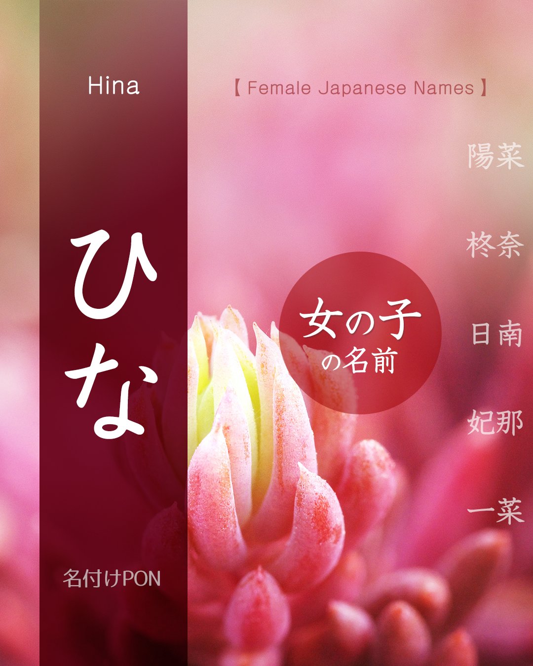 雛」の意味、読み方、画数、名前に込める願い 人名漢字事典- 名付けポン