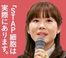 なぜ、小保方晴子氏の不正は世界から異様に注目されたのか？ ――あなたが知らない科学の真実ORICON NEWS