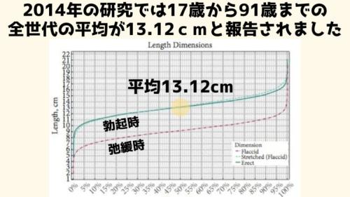 日本人の平均ペニスサイズ（通常時と勃起時）は○○cm！ – メンズ形成外科 |