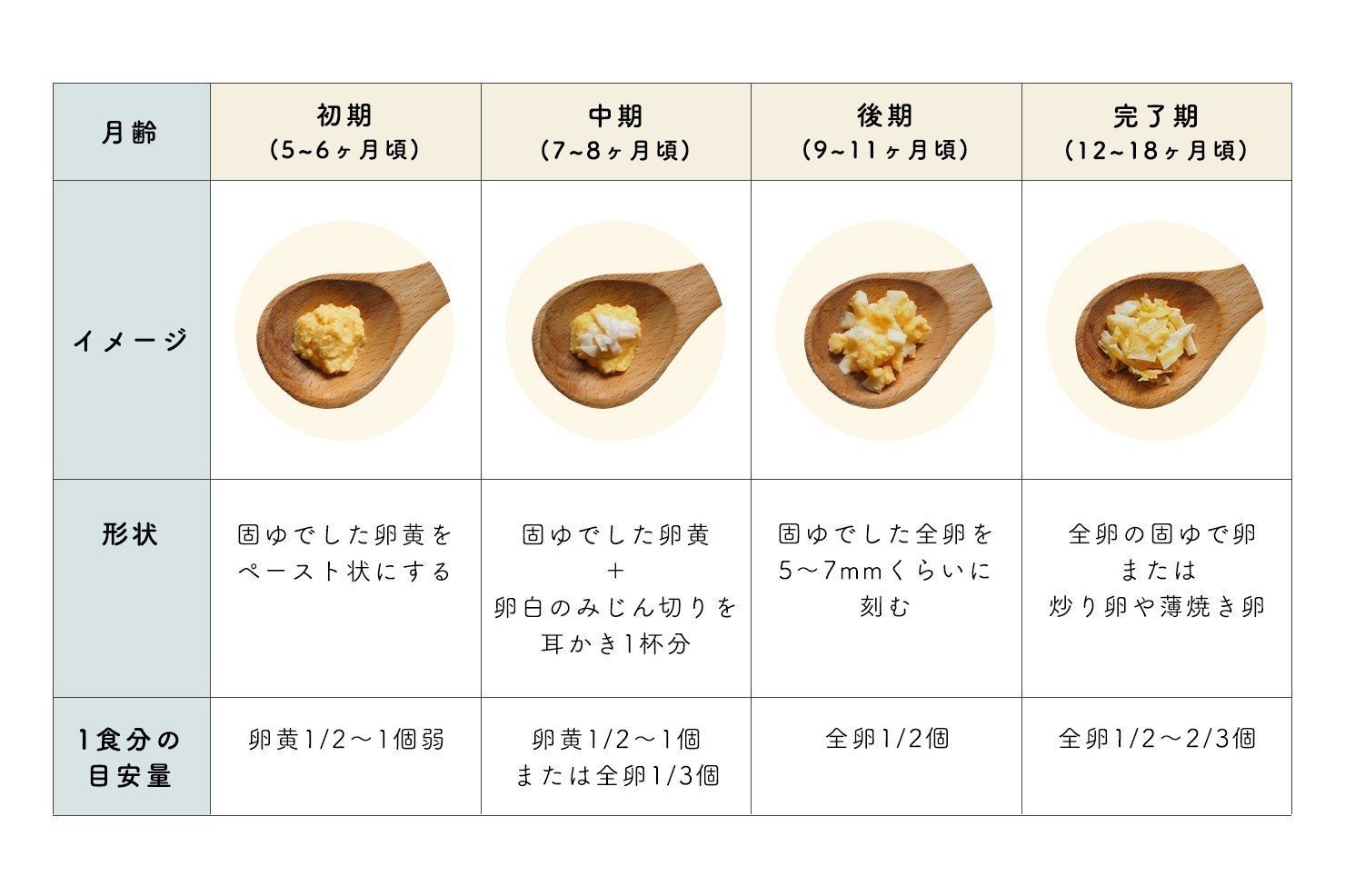 2025年最新版 離乳食の卵の進め方管理栄養士夫婦による実践栄養学