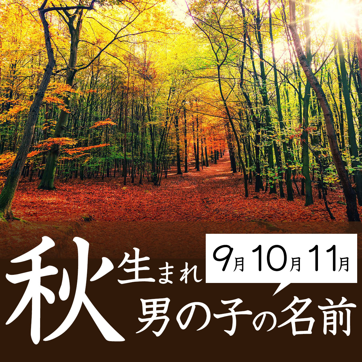 人気上昇中！男女別・イメージ別に一文字のお名前を集めました白金台のベビー服専門店BabyGoose WEB本店