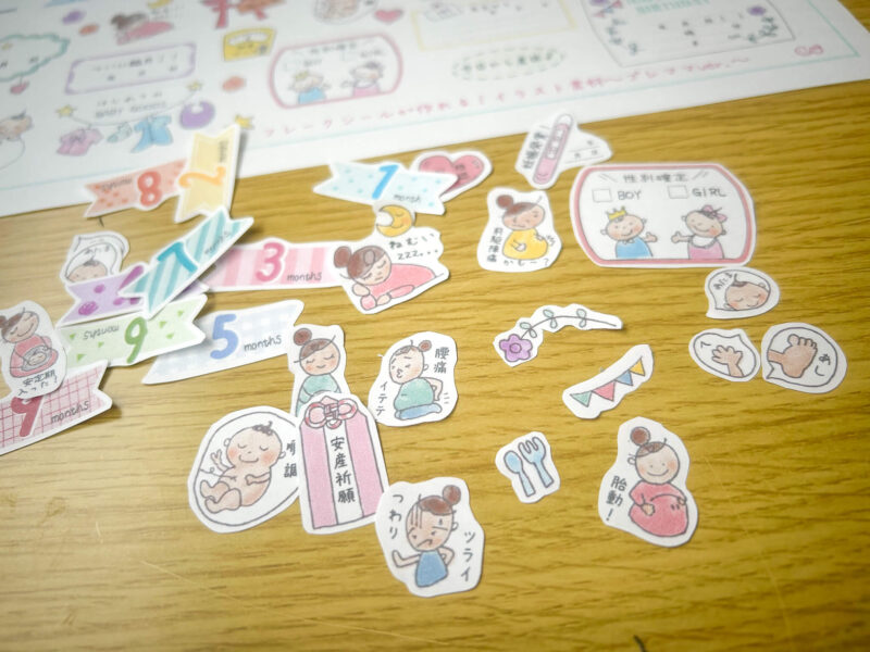 男の子だから恥ずかしいかもしれないけど····· 母子手帳 妊娠中の記録 妊娠 出産 第1子