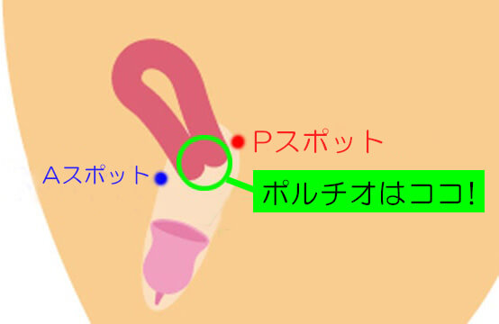 体外ポルチオ開発の誰でも簡単にできるやり方を中イキのプロが解説｜裏垢男子で年収2000万