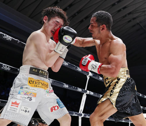 山中竜也「進化した右」連打でＶ１ 勝ち続ければ京口紘人との統一戦も - スポーツ報知