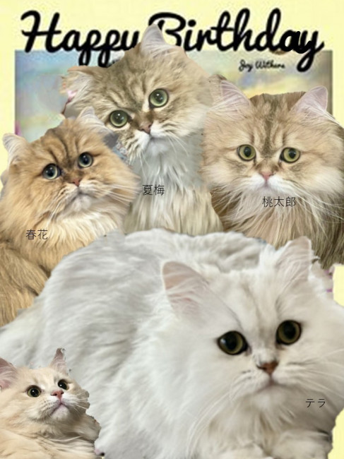 ニャチャン旅行記 deep ver. ⓪総括knobアーユルヴェーダ