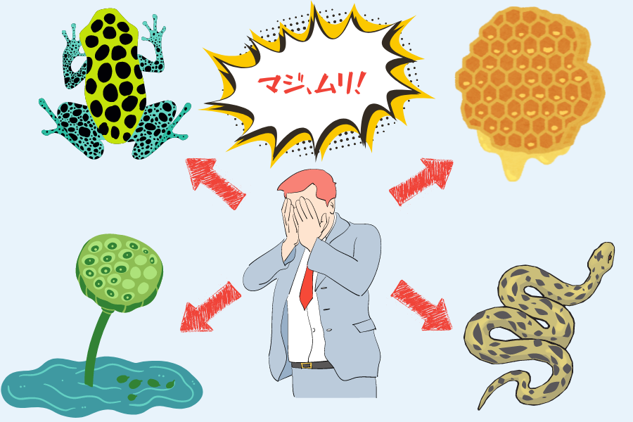 集合体恐怖症きらきらクリニック Dr.さくらのブログ