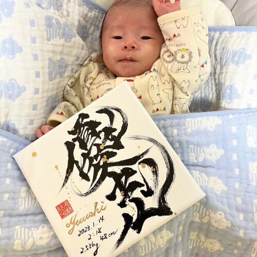 縁起の良い名前や漢字とは？姓名判断でおすすめの名づけ80選星ひとみ占い公式サイト星ひとみの天星術姓名判断