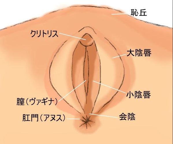 カントボーイ化ござる君、クリ舐め地獄に悶絶絶頂が止まらないっ！(昼のフェザーエース＆夜のふぇざーえっち) - FANZA同人