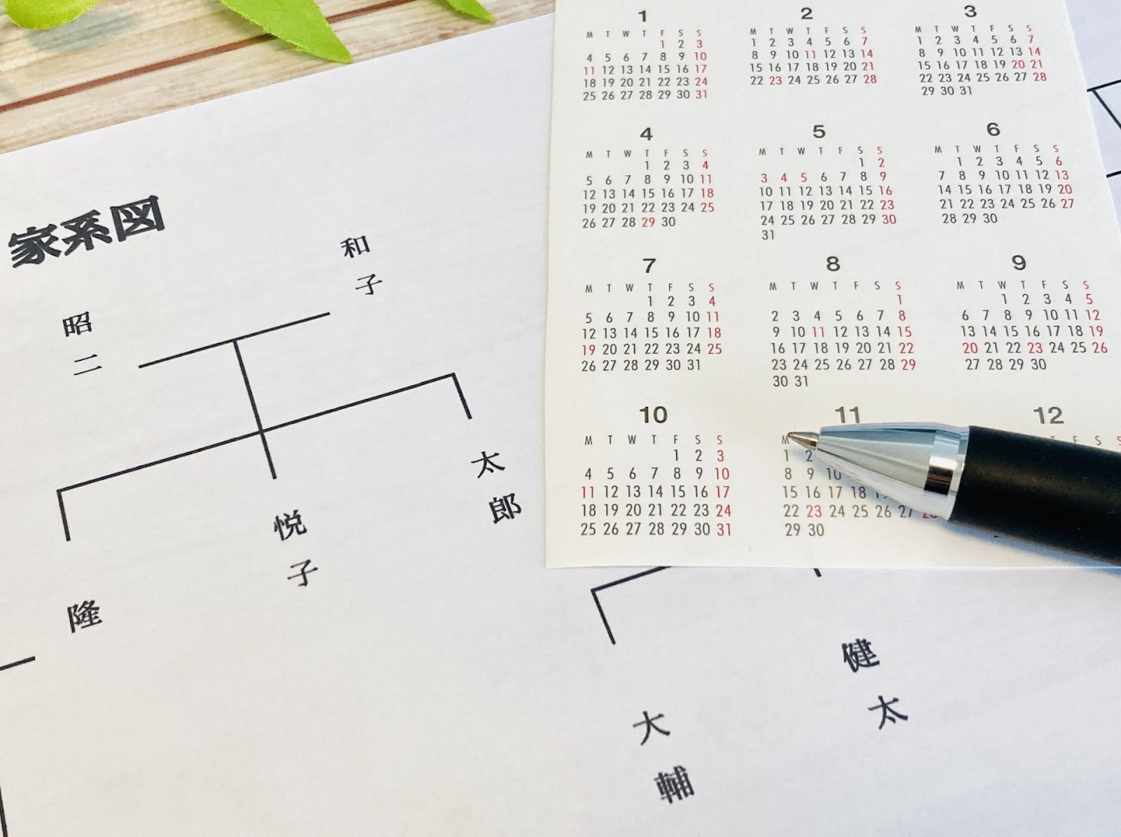 政界の華麗なる一族！ 麻生太郎の家系図はロイヤルすごい 墓マイラー中村クミカ巡礼記．２日本最大の選挙・政治情報サイトの選挙ドットコム