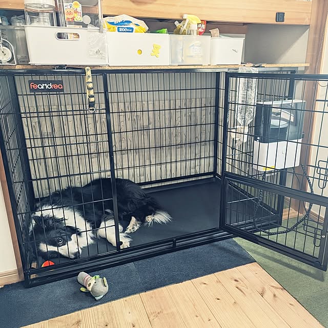 犬用ケージを使って犬も家族もお互い快適に暮らすためのポイント特集記事 -おしゃれなインテリア家具ショップCCmart7特集記事-おしゃれなインテリア家具ショップCCmart7