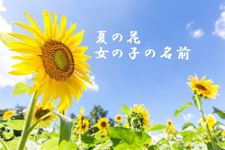 華やかでカワイイ♡女の子に人気の「フラワーネーム」ランキング!春生まれに多く名付けられた名前は?TRILL トリル