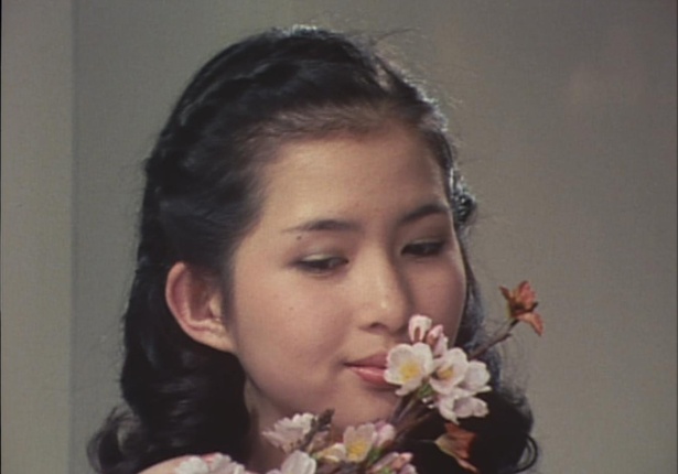 古手川祐子の2025年現在の写真！病気や再婚・子供の噂まとめ！芸能人の裏ニュース