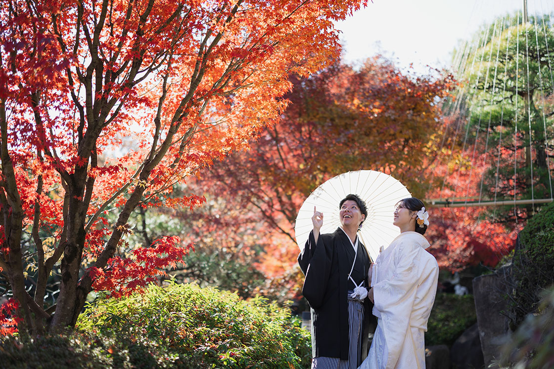 目白庭園の紅葉がピークを迎えましたスタジオAQUA 新宿店前撮り・フォトウェディング