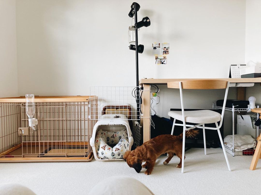 わんちゃんのケージの置き方実例！お部屋のインテリアにも合うアイデア集DogHuggy