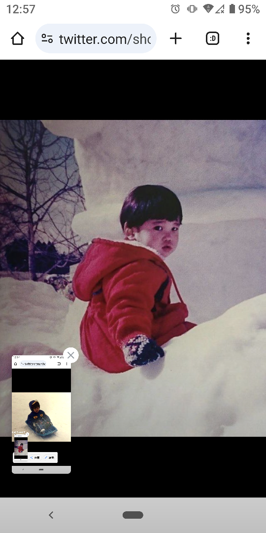 水原一平嫁 36 「私の夢は一平さんの子供を授かること。懲役4年9ヶ月だと 」←これを無視した米裁判所 : なんJ PRIDE