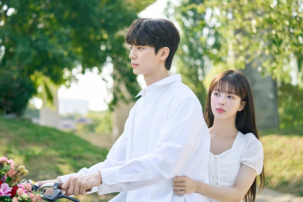 松基羊『雌お兄さん』コミコミイラストカード BLグッズ