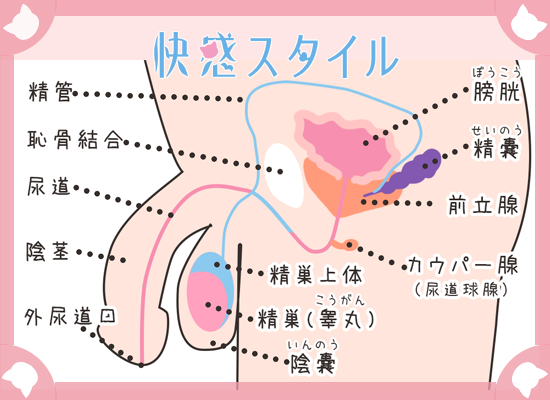 ☆男の潮吹き☆やり方、コツを【男の潮吹き】発祥の風俗店が解説 | 男のメスイキ！ドライオーガズムとは？