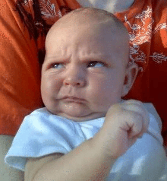 Page 2 - 20,000+ Free 赤ちゃんおもしろ画像 日本 & Baby Images - Pixabay