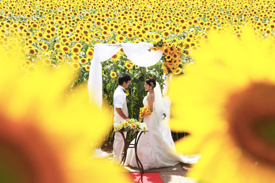 装花意外も◎結婚式にひまわりを取り入れるアイディア10選DRESSY 公式 ウェディングドレス・ファッション・エンタメニュース