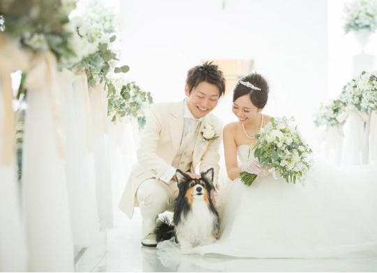取引先の方の結婚式・披露宴へ贈るお祝い花と贈り方・マナー祝花の花助 贈答用の花の選び方やマナーをご紹介