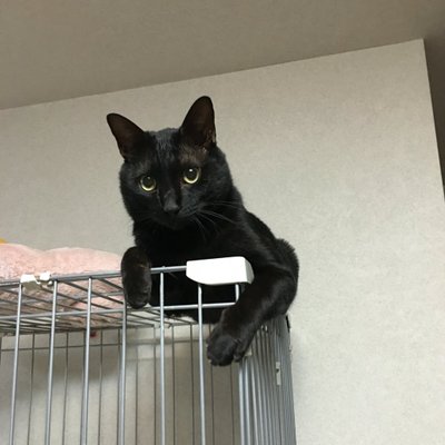 勝生 真沙子キャスティング業務用データベース「タレメcasting NEXT」