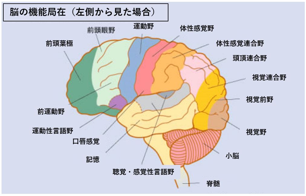 乳首と乳首の間が超敏感」な男性が上半身裸で拘束された結果…感動的な結末が待っていた!? | ABCマガジン