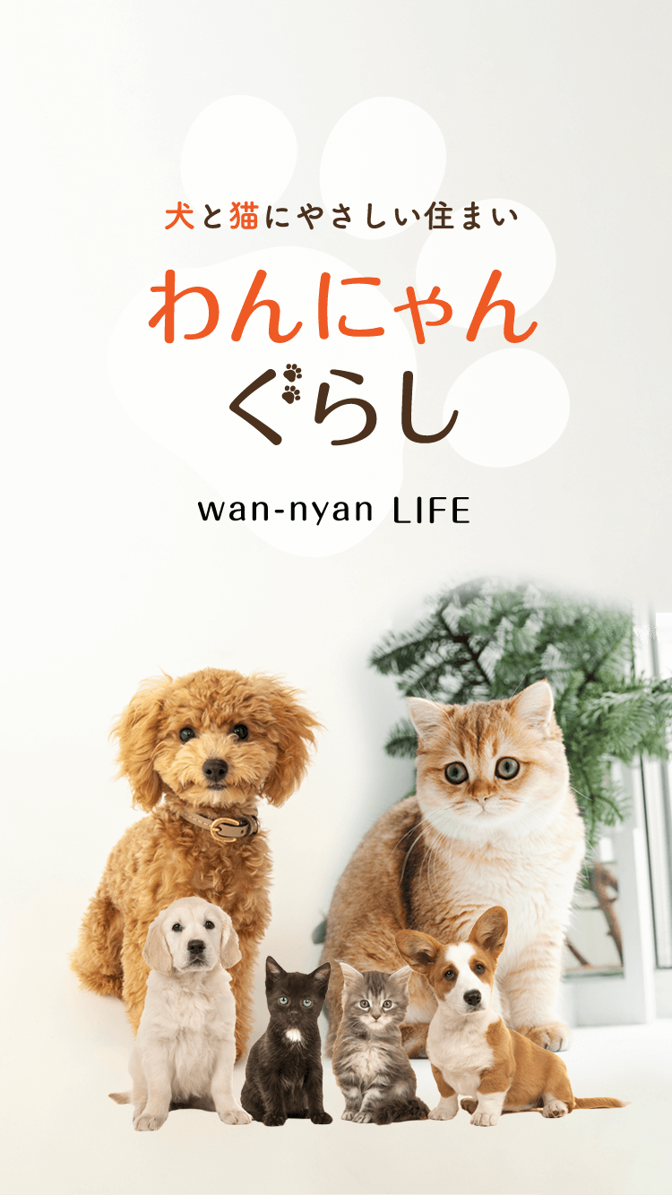 楽天市場】【ふるさと納税】 犬猫と一緒に暮らす人のためのリップクリーム 4g×1本 リップクリーム 犬