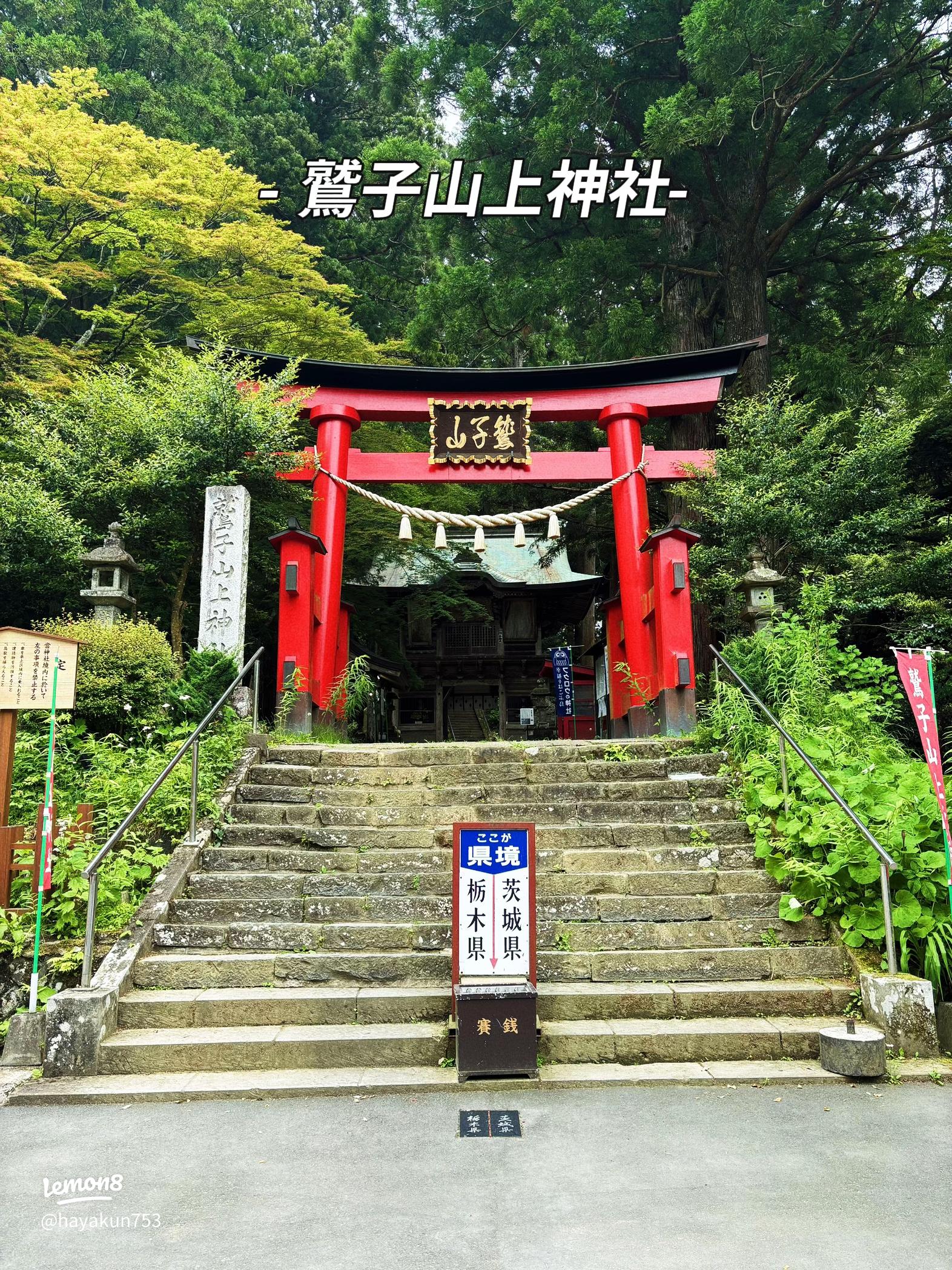 三重の鈴鹿で春を感じるしだれ梅スポット