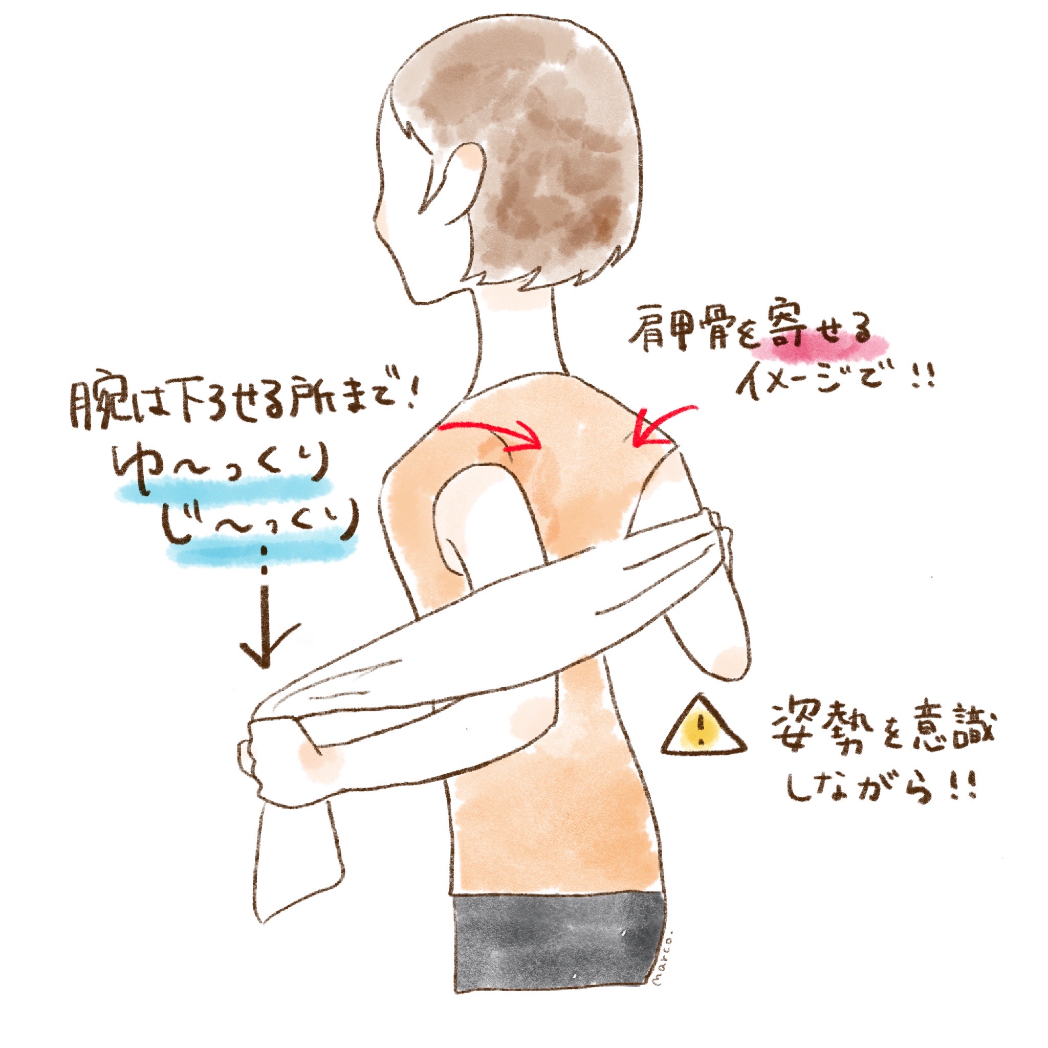 上げる・寄せる・下げるで簡単！自分でできる「肩甲骨はがし」でめざせ肩こり解消♪ 2ページ目- レタスクラブ