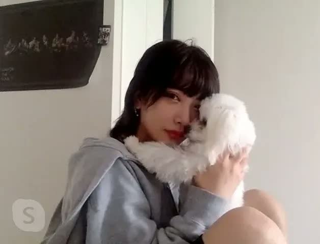 はじめてのおにいちゃん 1 香純 裕子集英社 ― SHUEISHA ―