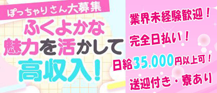 即日勤務OK｜周南市のデリヘルドライバー・風俗送迎求人【メンズバニラ】で高収入バイト