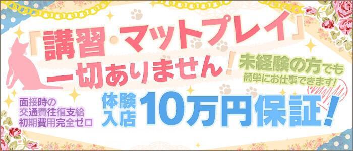 東京の高級店のソープ求人【バニラ】で高収入バイト