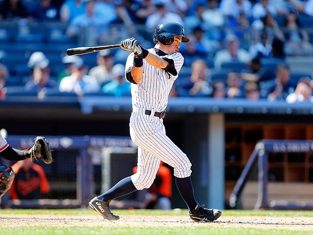 PETTENA 折りたたみ式分離型あごのせクッション付きペットカートORION中型犬・多頭飼い対応・耐荷重25kg・軽量