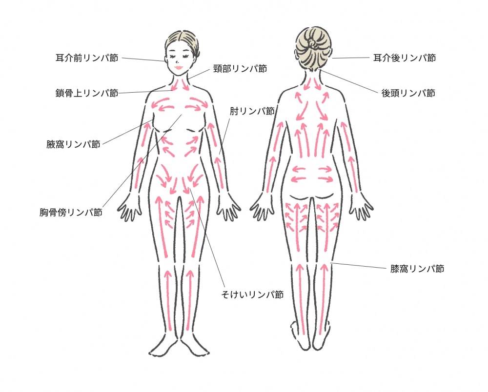 常に前のめり姿勢のテレワークで、首すじがパンパン…。「胸鎖乳突筋ほぐし」で老廃物スッキリ！／すごいストレッチ⑦ | ダ・ヴィンチWeb