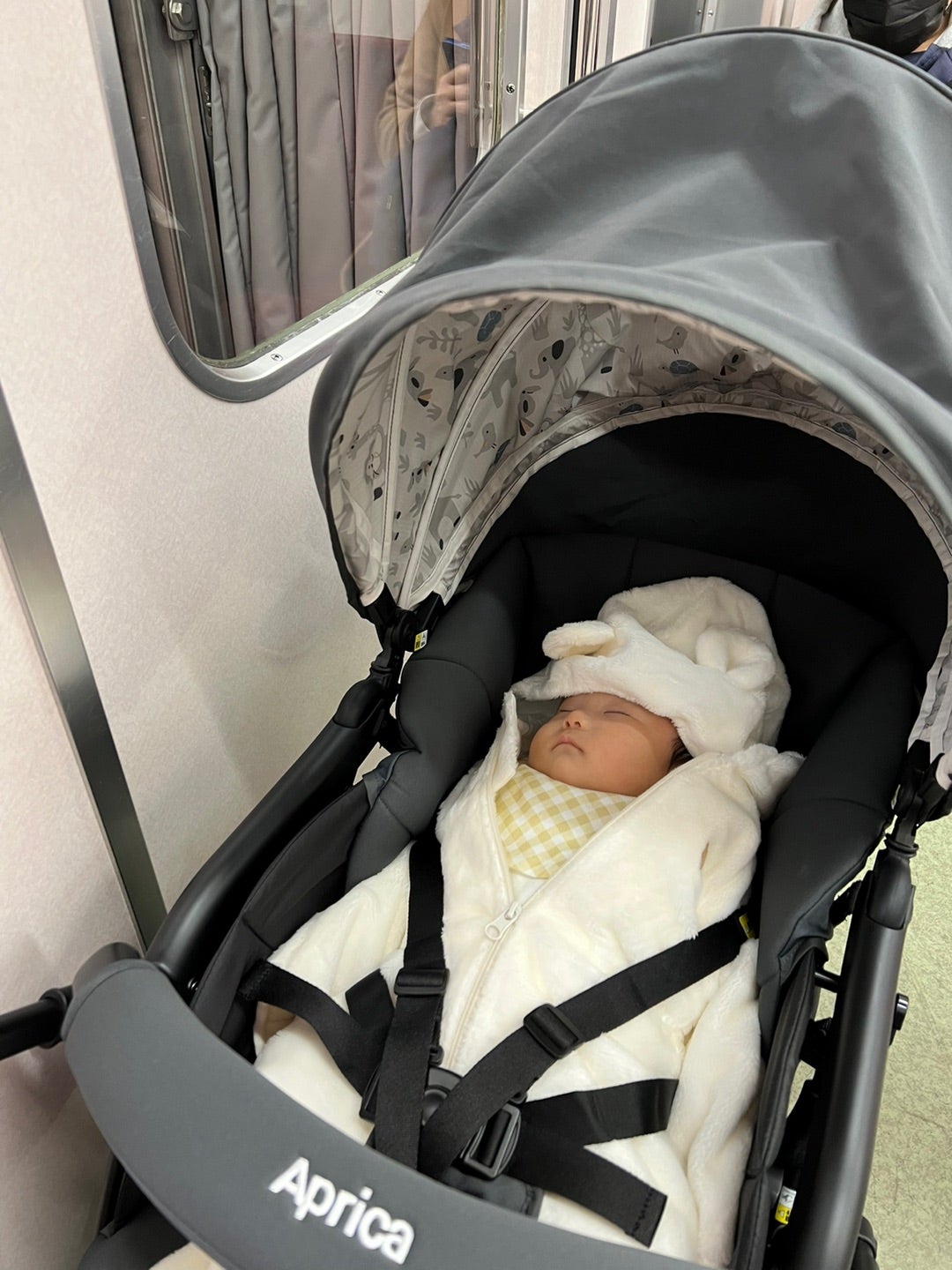 高齢男性、電車で泣く赤ちゃんにブチギレ 親に「人間失格」と大暴れ、制止されるも「甘やかすから日本が駄目になる」 緊迫の一部始終 -ライブドアニュース