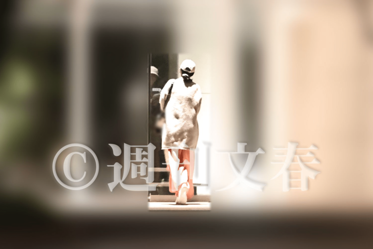 中条あやみ デビューから13年「ケセラセラ」 なるようになる スペインで語った新たな挑戦の道標とはentax エンタックス