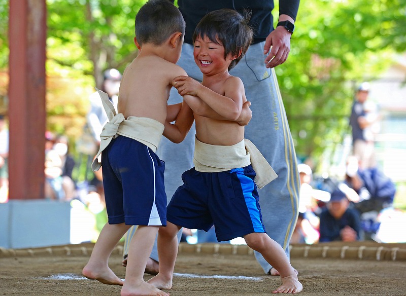 □花岡八幡宮 ～春まつり・子供相撲大会～ – いくっちゃ！くだまつ観光ガイド