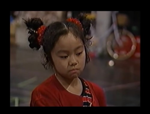 ドラマ『家なき子』 1994.4.16～7.2 全12回- メランコリア