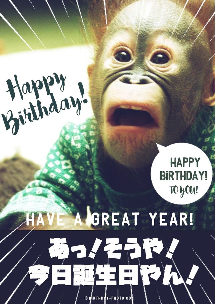 誕生日メッセージ シンプル・定番の文例～ラインやSNSで使えるひと言までご紹介！プレゼント＆ギフトのギフトモール