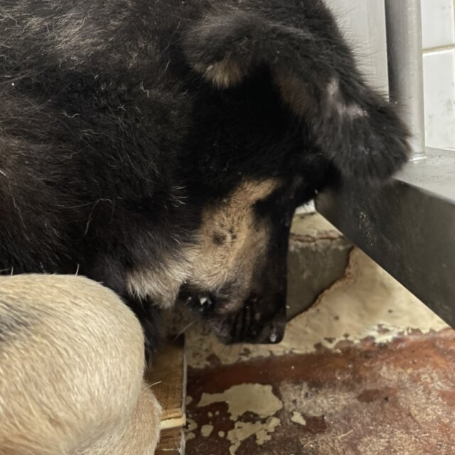 よみがえる家族との思い出 別府で温泉めぐり旅PLAYIRAW by RCC