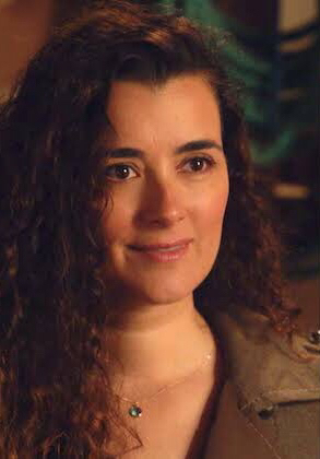 NCIS ネイビー犯罪捜査班 シーズン13 トク選BOX12枚組DVDマーク