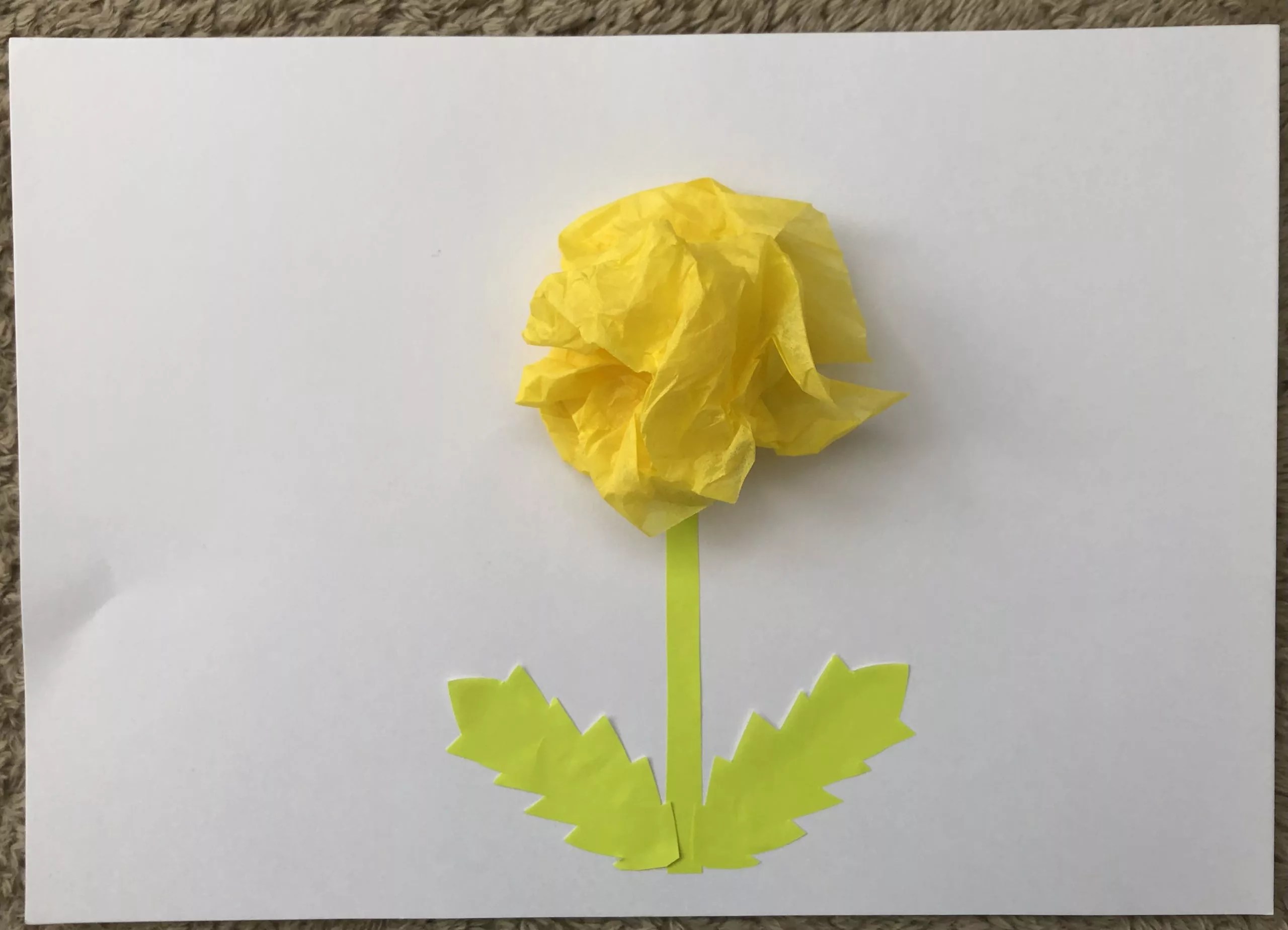 みんなの投稿 ひなまつり桃の花保育と遊びのプラットフォーム ほいくる