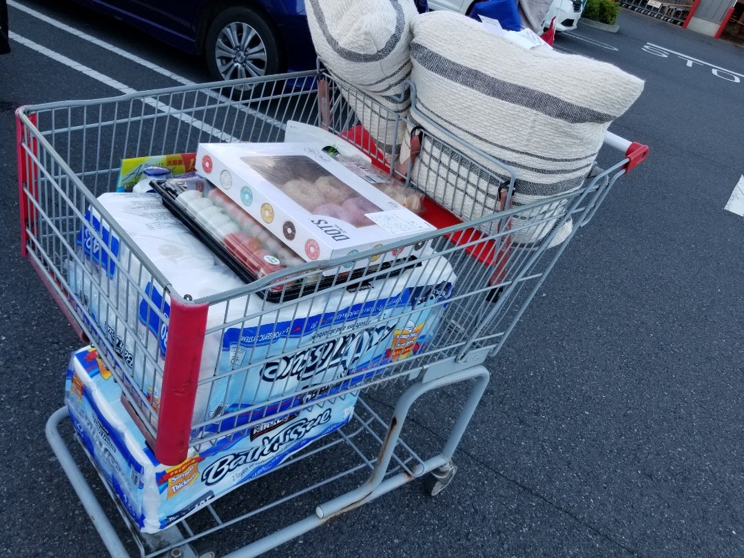 初めてのコストコ！双子赤ちゃん初めての2人乗りカート！ - 柑橘家の双子ちゃん 〜一卵性双子育児ブログ