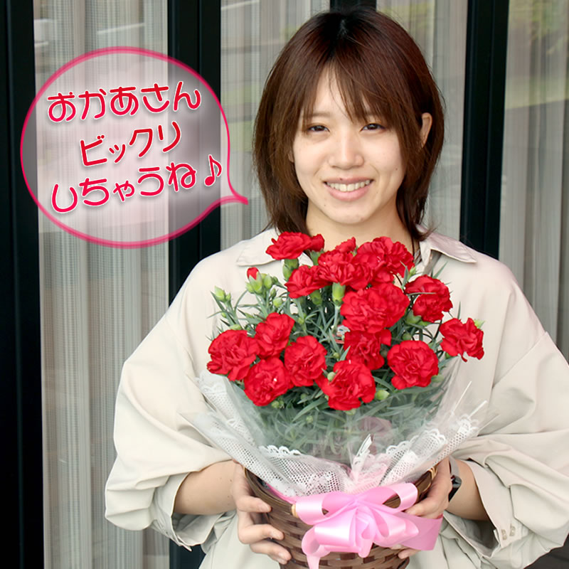 なぜ母の日はカーネーションなのか？贈る意味と注意点を解説 - 墓石を静岡 三島 沼津で建てるなら墓石の専門店 鈴木石材店でブログ墓石を静岡 三島沼津で建てるなら墓石の専門店 鈴木石材店で