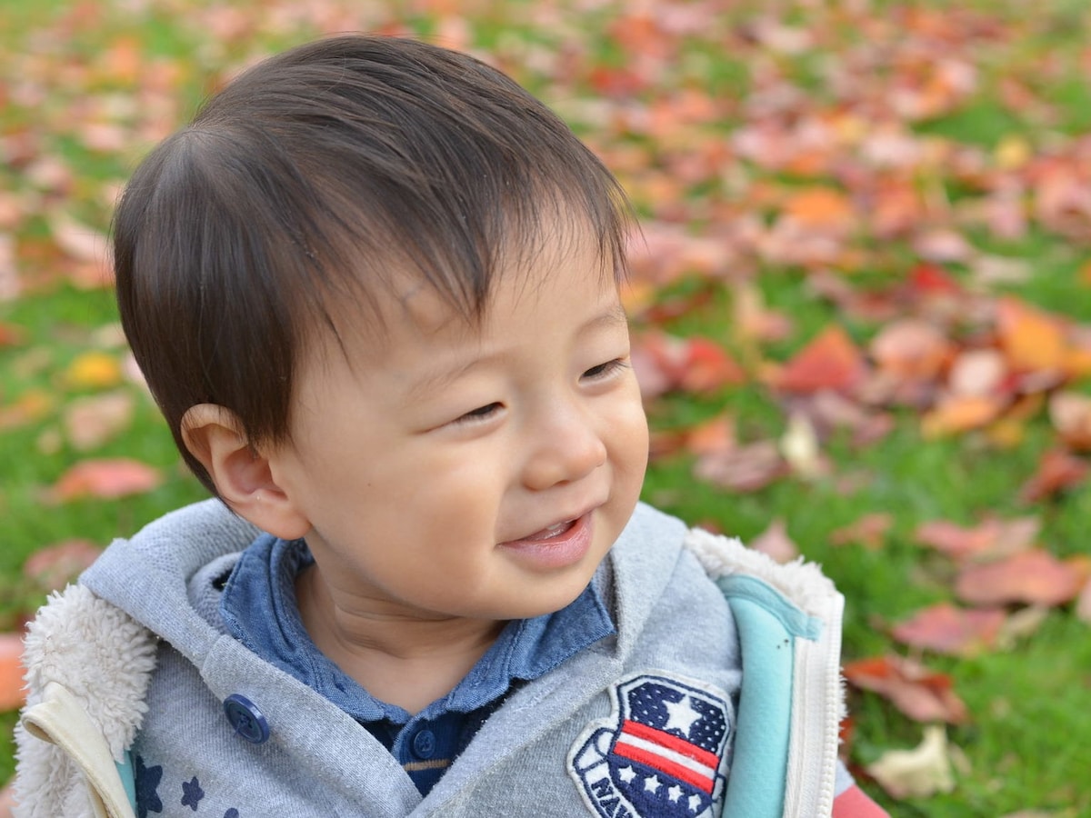 再掲 秋生まれの男の子の名前 3 ～気候・風物詩編～ 秋の十五夜、秋の気候を表現した熟語などをモチーフにした男の子の名前です。 ・名付けポン名付け名前名前付けかっこいい名前古風な名前珍しい名前漢字命名命名書プレマママタニティぷんに